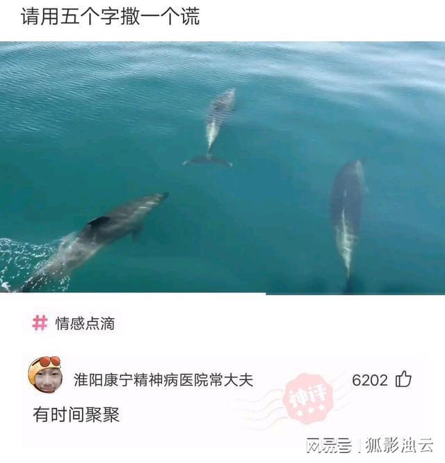 倒过来读的句子表白(顺着读骂人倒着读情话)