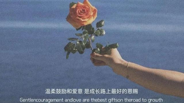 形容对婆家人很失望的句子