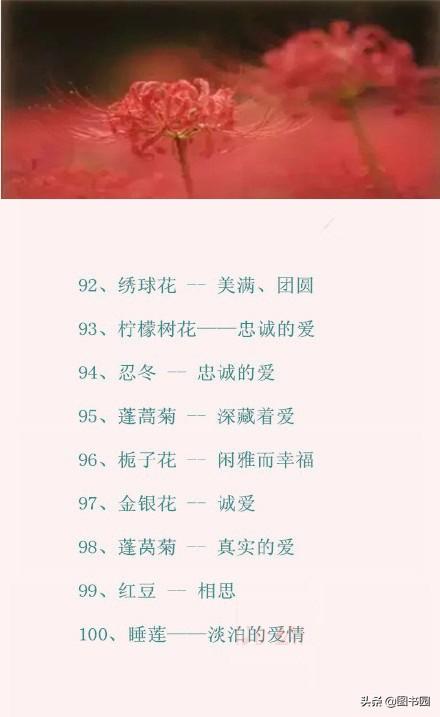 100种常见花的花语文字