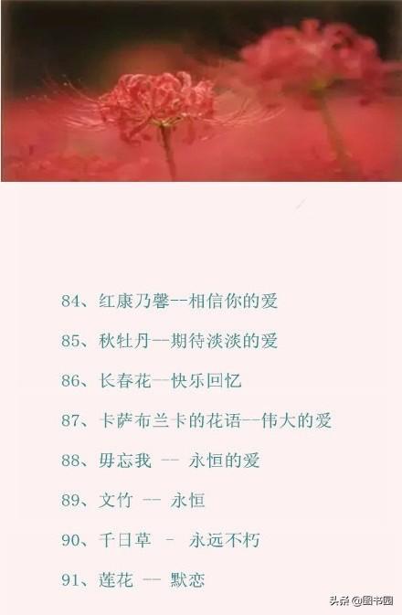 100种常见花的花语文字