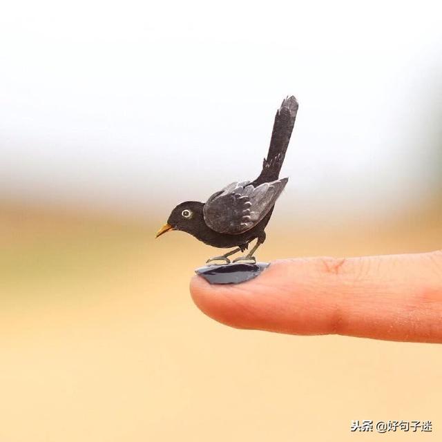 最经典的爱情句子 最经典的爱情句子