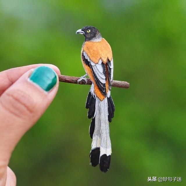 最经典的爱情句子 最经典的爱情句子