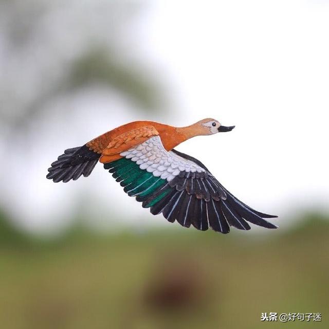 最经典的爱情句子 最经典的爱情句子