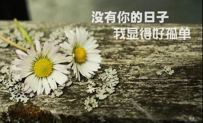 经典句子网_(句子迷经典语录唯美)
