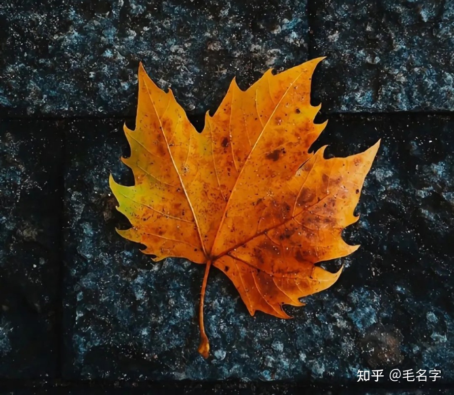 雨过之后的唯美句子_(雨过天晴的心情感悟)