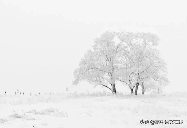 赞美冬雪的唯美句子_(描写雪的古诗大全300首)