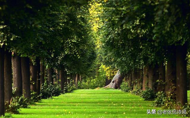 形容晚上天气热的句子(形容天气忽冷忽热的搞笑句子)