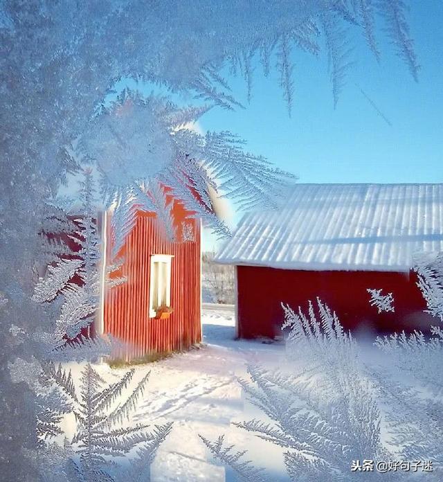 小雪花飘落的唯美句子(小雪花飘落在哪里好像)