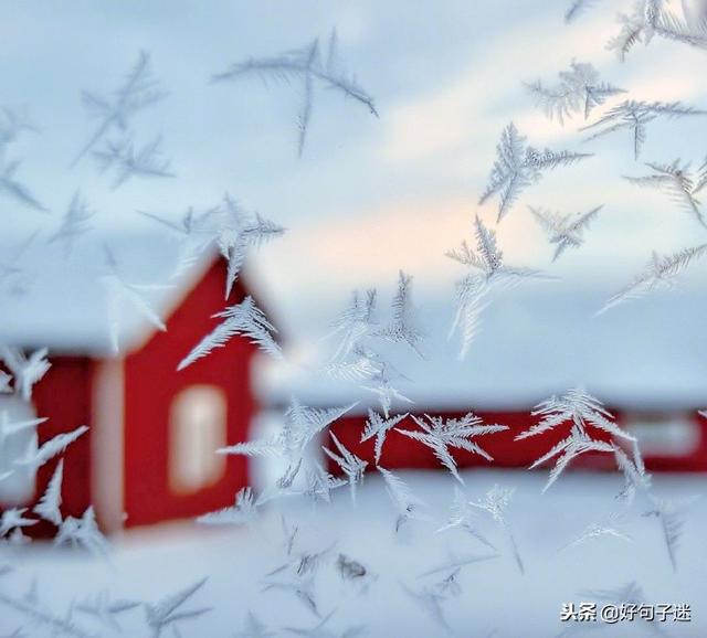 小雪花飘落的唯美句子(小雪花飘落在哪里好像)