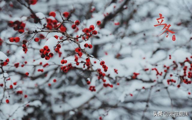 冬雪寒风唯美句子(雪景句子唯美简短10字)