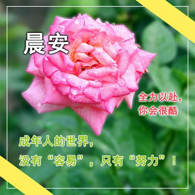 小孩笑声的唯美句子(形容孩子天真无邪短句)