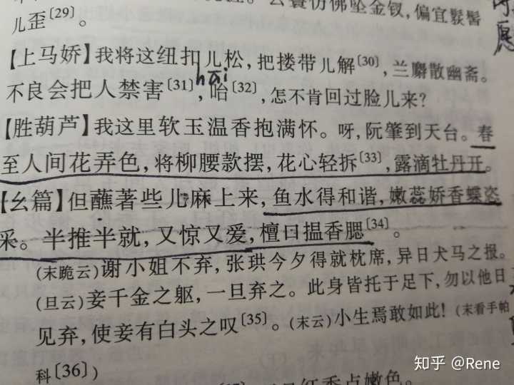 兄妹俩唯美的句子(关于兄妹俩图片)