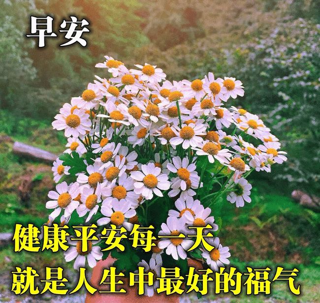 相识缘份唯美句子(初次相识的句子简短)