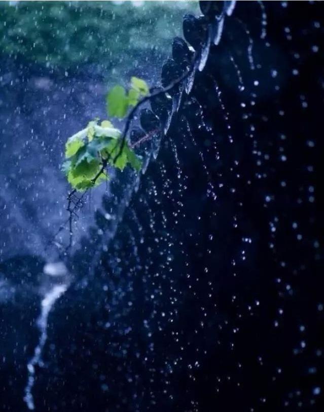 听雨诗句唯美的句子(冬天雨夜听雨唯美句子)