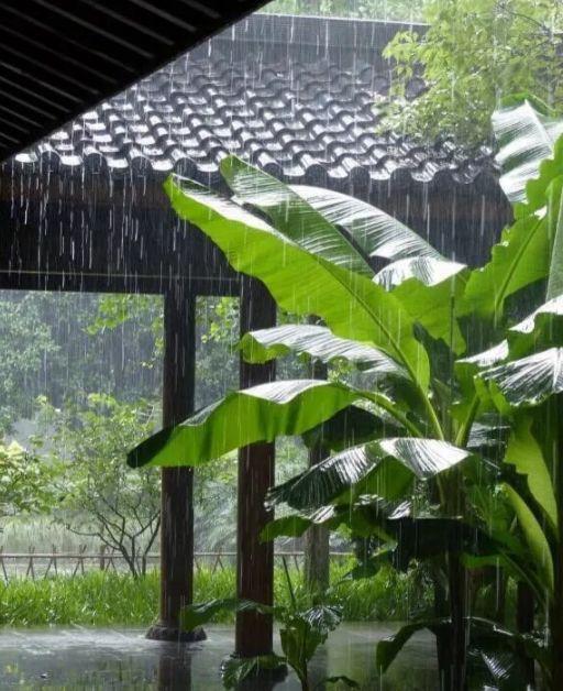 听雨诗句唯美的句子(冬天雨夜听雨唯美句子)