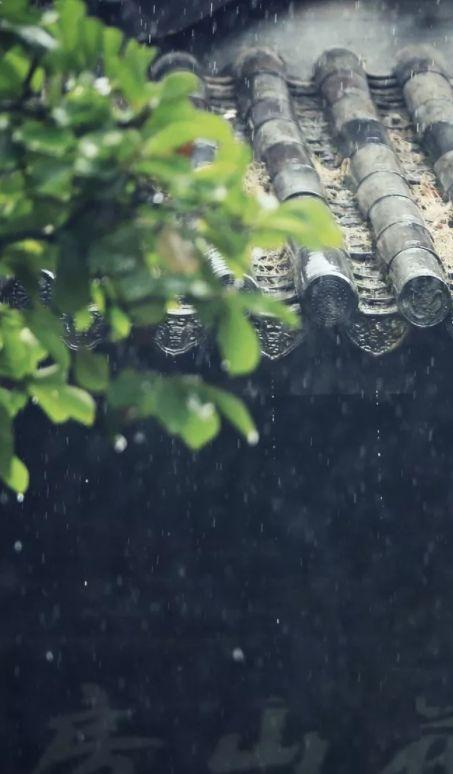 听雨诗句唯美的句子(冬天雨夜听雨唯美句子)