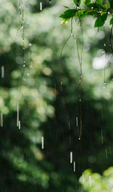 听雨诗句唯美的句子(冬天雨夜听雨唯美句子)