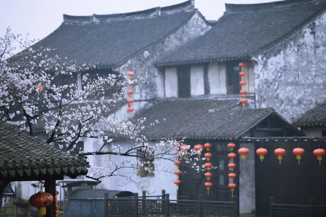 花的句子唯美短句干净简短(爱情的句子唯美短句)