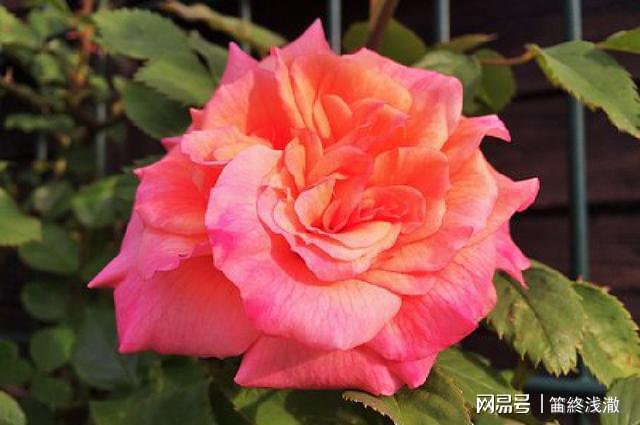 关于归宿的唯美句子(祝福闺蜜找到归宿的话)