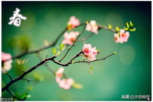 跑步美文美句唯美简短