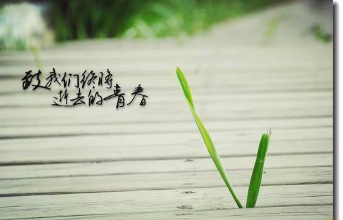 青春美文美句摘抄_经典的句子_个性说说网 青春美文美句摘抄_经典的句子_个性说说网