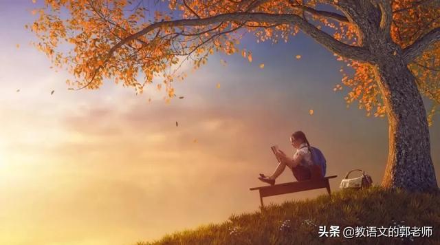 美文美句积累有哪些