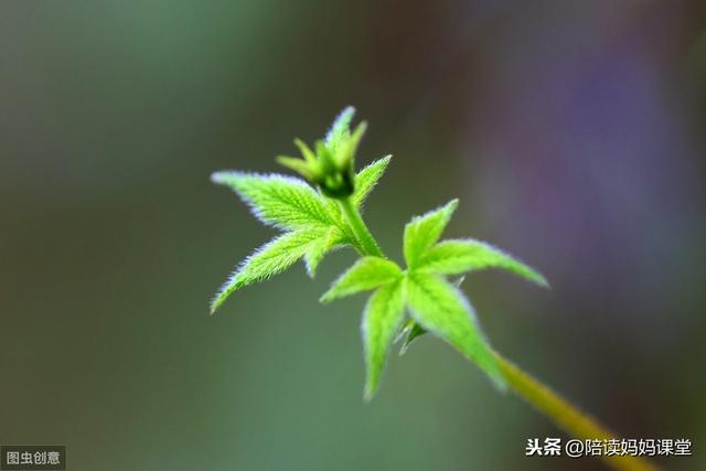 美文美句积累摘抄 大全一年级