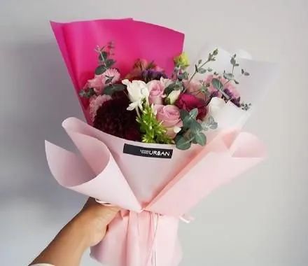<img src=