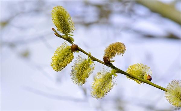 句句深入人心短句