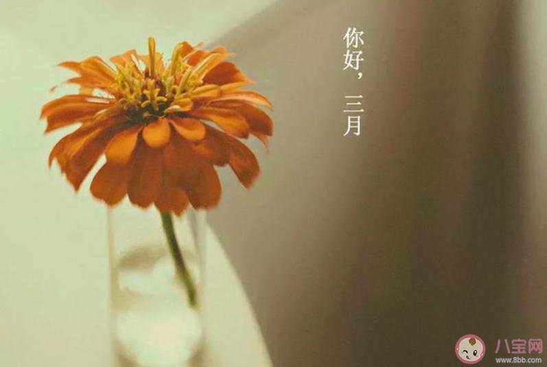 伤感的句子说说心情文案_(伤感的句子说说心情颤音)