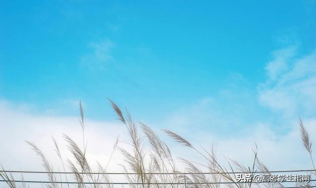 高中生优美句子摘抄