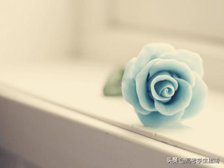 高中生优美句子摘抄