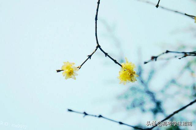 高中生优美句子摘抄