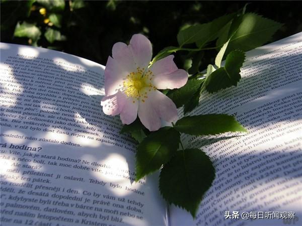 经典小故事及感悟