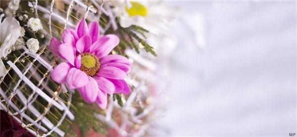 正能量满满的经典语句 正能量满满的经典语句