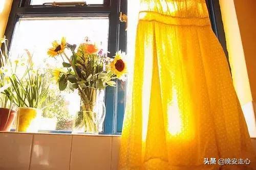 鸡汤的句子简短一句话