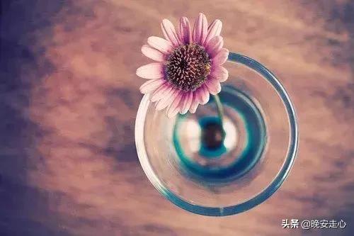 鸡汤的句子简短一句话