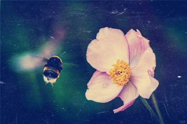 非常激励人心的句子