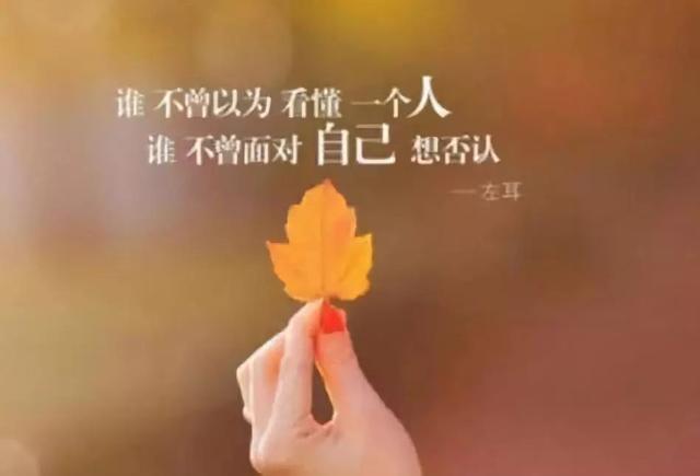 伤感的句子 心情不好_(分手不舍的伤感语句)