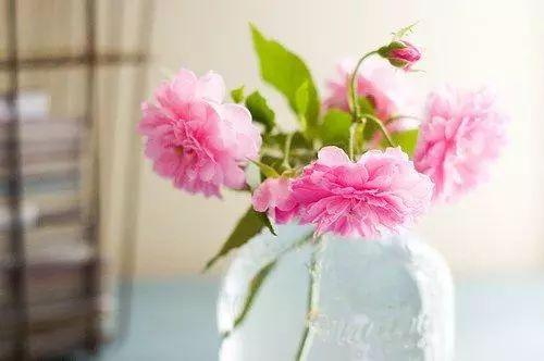 用沉默代替一切的句子