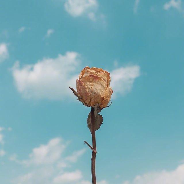 早上好正能量句子 早上好正能量句子