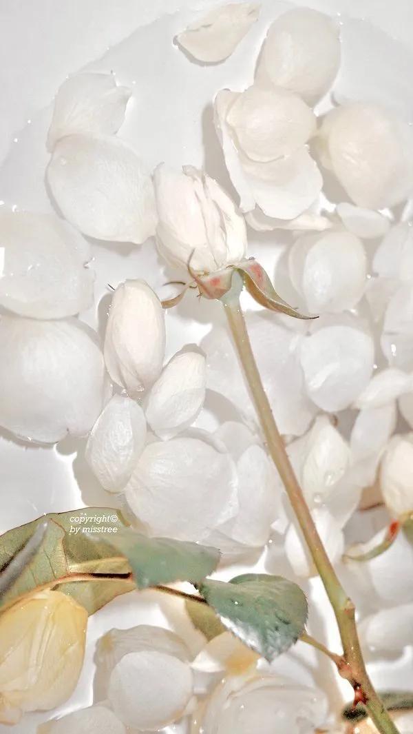 好看的壁纸ins风