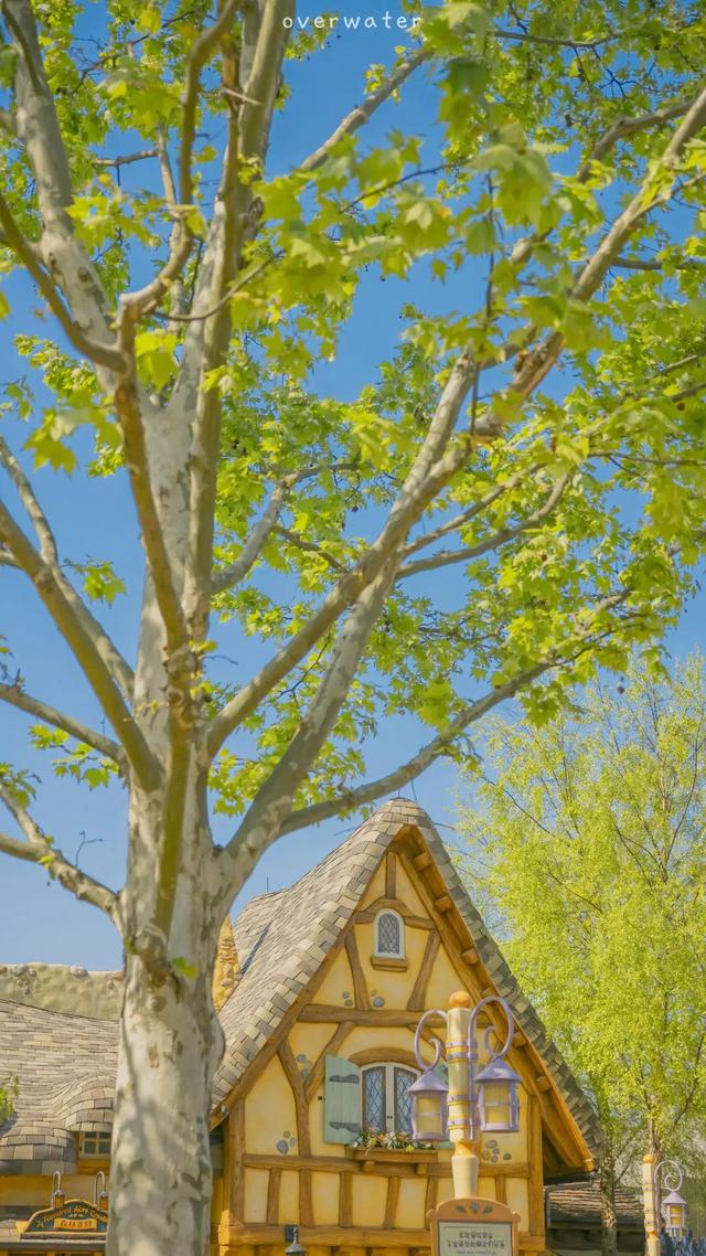 好看的壁纸ins风