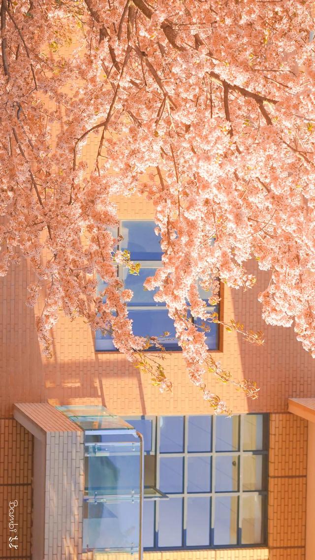 好看的壁纸ins风