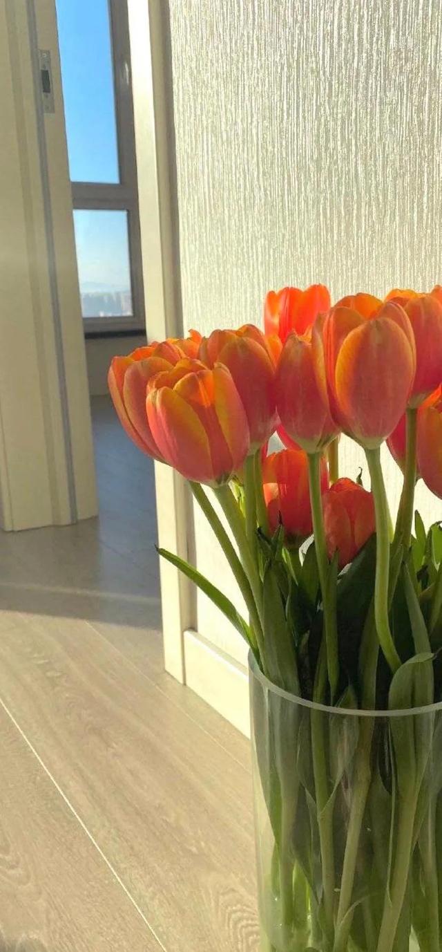 好看的壁纸ins风