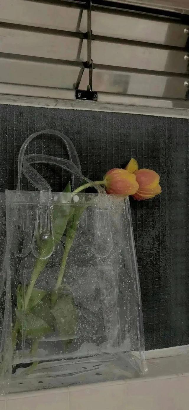 好看的壁纸ins风