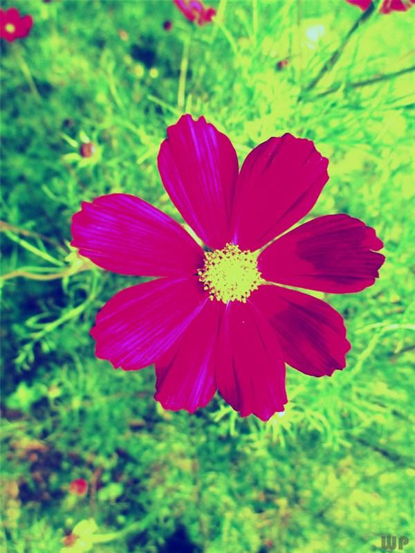 早安励志正能量霸气一句话 早安励志正能量霸气一句话