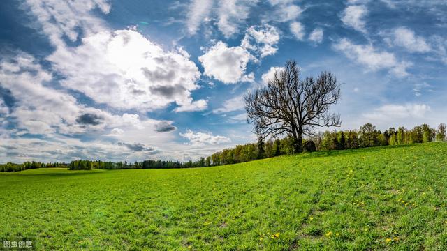 心态好格局大的句子感悟 心态好格局大的句子感悟