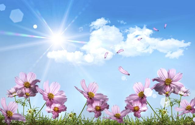 让女生感动到哭的句子短一些