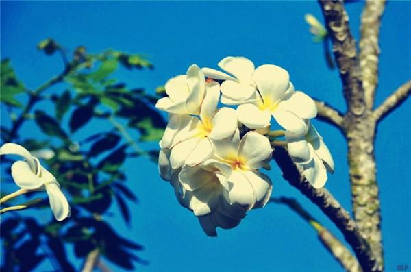 晚安正能量句子